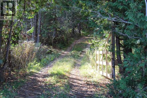 1059 Tortoise Drive, Highlands East, ON - Outdoor With View