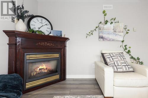 108 Paddy Dobbin Drive, St. John'S, NL - Indoor Photo Showing Living Room With Fireplace