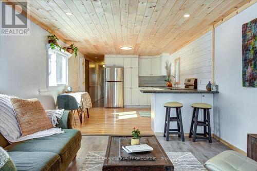 287 Moxam Road, Hastings Highlands, ON - Indoor Photo Showing Living Room