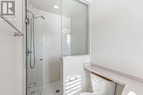 227 Riverlands Avenue, Markham, ON - Indoor Photo Showing Bathroom