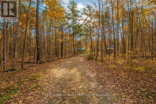 86 Fire Route 37, Galway-Cavendish And Harvey, ON - Outdoor With View