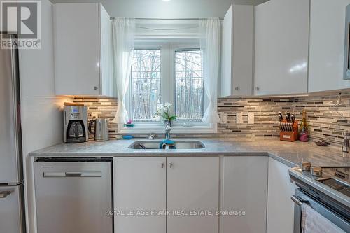 86 Fire Route 37, Galway-Cavendish And Harvey, ON - Indoor Photo Showing Kitchen With Double Sink