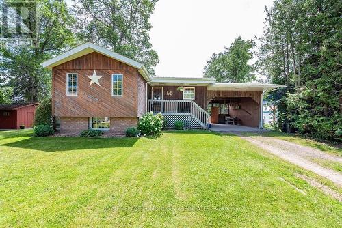 137 Scheuneman Road, North Algona Wilberforce (561 - North Algona/Wilberforce Twp), ON - Outdoor With Deck Patio Veranda