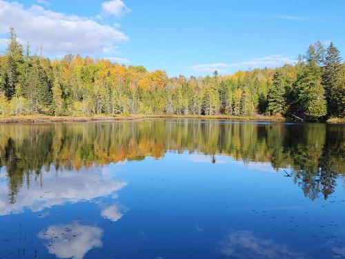 Bord de l'eau - Ch. Des Monts, Chertsey, QC 