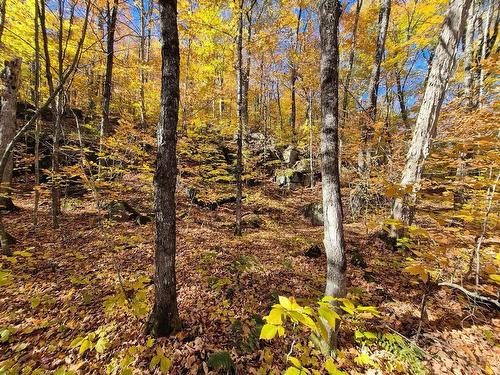 BoisÃ© - Ch. Des Monts, Chertsey, QC 