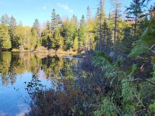 Bord de l'eau - Ch. Des Monts, Chertsey, QC 