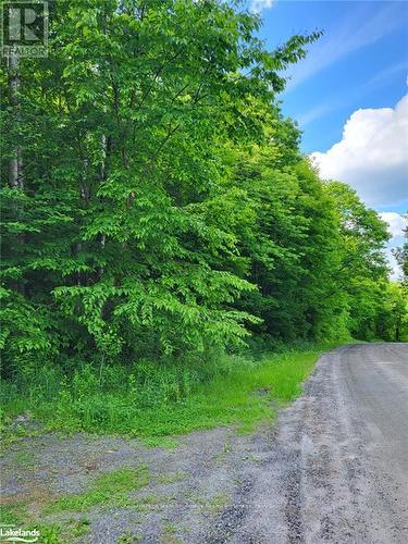 0 Haines Lake Road, Mcdougall, ON 