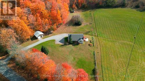 223 Boeve Lane, Alnwick/Haldimand, ON - Outdoor