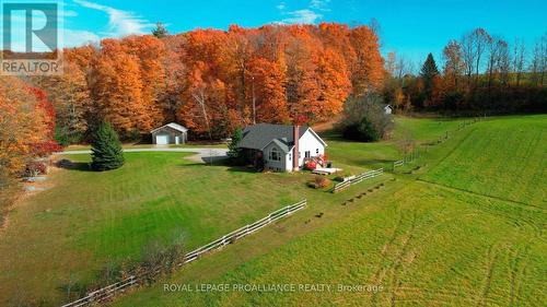 223 Boeve Lane, Alnwick/Haldimand, ON - Outdoor