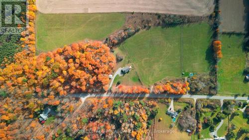 223 Boeve Lane, Alnwick/Haldimand, ON - Outdoor With View