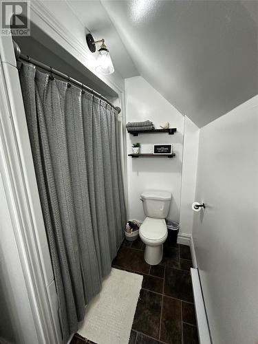 26 Beaumont Avenue, Grand Falls-Windsor, NL - Indoor Photo Showing Bathroom