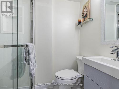 392 Wilson Drive, Milton, ON - Indoor Photo Showing Bathroom