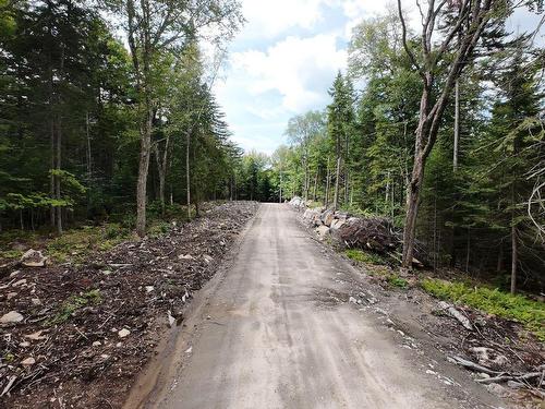 Street - Ch. Fusey, Saint-Donat, QC 