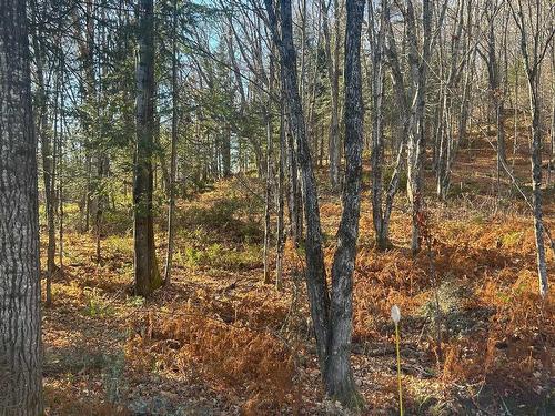 Terre/Terrain - Ch. Fusey, Saint-Donat, QC 