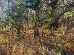 Land/Lot - 