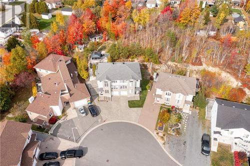 22 Palisade Place, Greater Sudbury, ON - Outdoor With View