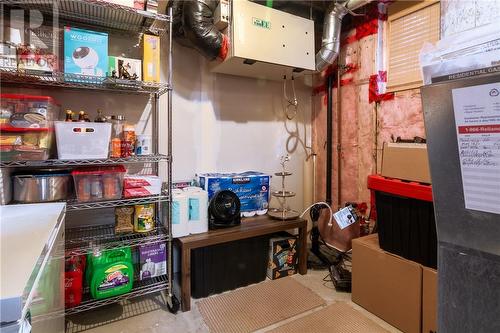 22 Palisade Place, Greater Sudbury, ON - Indoor Photo Showing Basement