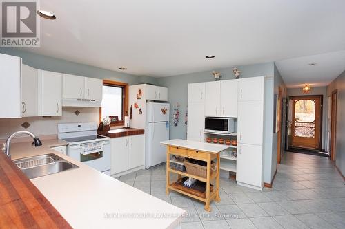 14 Bayview Drive, Kawartha Lakes (Coboconk), ON - Indoor Photo Showing Kitchen With Double Sink