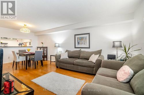 208 - 1155 Bough Beeches Boulevard, Mississauga, ON - Indoor Photo Showing Living Room