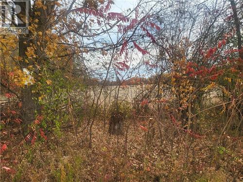 Lot 1 Bush Road, Rideau Lakes (817 - Rideau Lakes (South Crosby) Twp), ON 