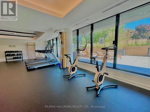 223 - 2799 Kingston Road, Toronto, ON - Indoor Photo Showing Gym Room