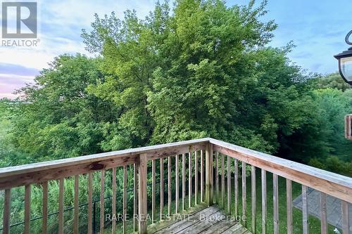 25 Plowman Lane, Richmond Hill, ON - Outdoor