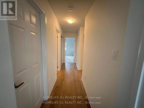 50 Port Crescent, Welland, ON - Indoor Photo Showing Other Room