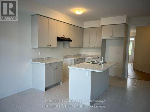 50 Port Crescent, Welland, ON - Indoor Photo Showing Kitchen With Double Sink