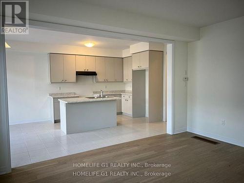 50 Port Crescent, Welland, ON - Indoor Photo Showing Kitchen With Double Sink