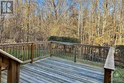 Back Deck (off den) - 