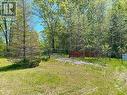 3987 County Road 6, North Kawartha, ON 