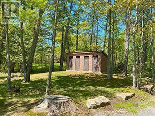 3987 County Road 6, North Kawartha, ON 