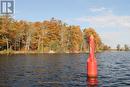 Lots123 - C280 Lower Buckhorn Lake, Galway-Cavendish And Harvey, ON 