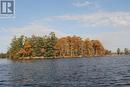 Lots123 - C280 Lower Buckhorn Lake, Galway-Cavendish And Harvey, ON 