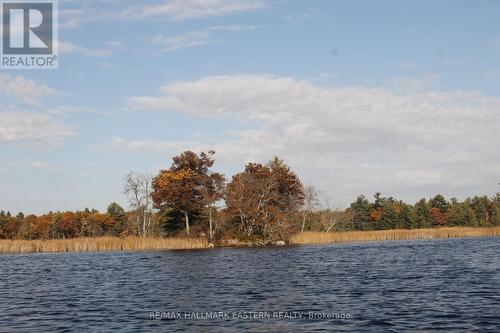 Lots123 - C280 Lower Buckhorn Lake, Galway-Cavendish And Harvey, ON 