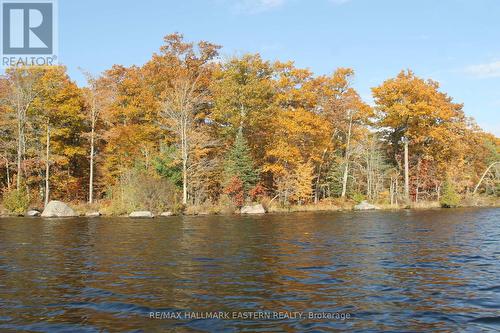 Lots123 - C280 Lower Buckhorn Lake, Galway-Cavendish And Harvey, ON 