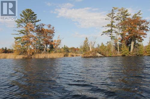 Lots123 - C280 Lower Buckhorn Lake, Galway-Cavendish And Harvey, ON 