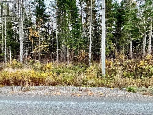 Lot 2 Enniskillen Road, Hoyt, NB 