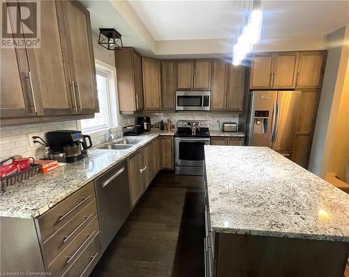 94 Robert Peel Road, Kitchener, ON - Indoor Photo Showing Kitchen With Double Sink