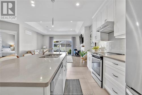 463 Martinique Avenue, Windsor, ON - Indoor Photo Showing Kitchen With Double Sink With Upgraded Kitchen