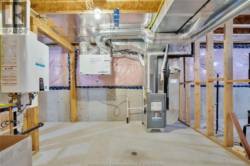 463 Martinique Avenue, Windsor, ON - Indoor Photo Showing Basement