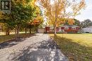 19 Locke Avenue, Clearview, ON  - Outdoor 