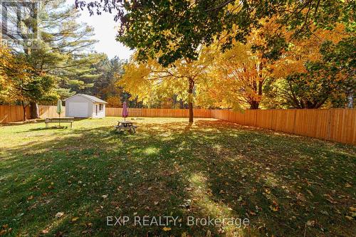 19 Locke Avenue, Clearview, ON - Outdoor