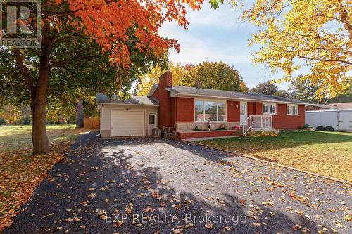 19 Locke Avenue, Clearview, ON - Outdoor