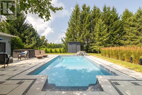 3587 Sideroad 10, Bradford West Gwillimbury, ON - Outdoor With In Ground Pool With Backyard