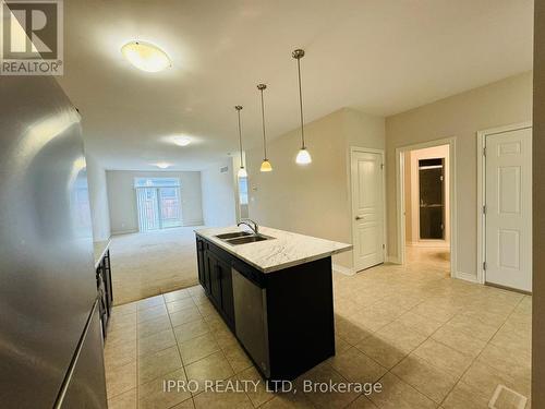 16 Ellis Avenue, St. Catharines, ON - Indoor Photo Showing Kitchen With Double Sink