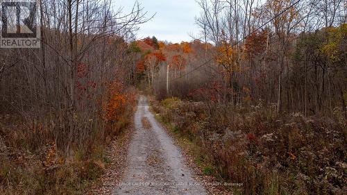 0 Maplehurst Road, Seguin, ON 