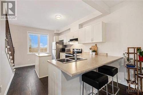 201 Hibernian Walk, Stittsville, ON - Indoor Photo Showing Kitchen With Double Sink