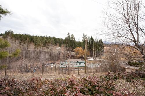 3310 Mathews Road, Kelowna, BC - Outdoor With View