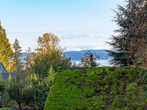 3460 Hillside Rd, Chemainus, BC 